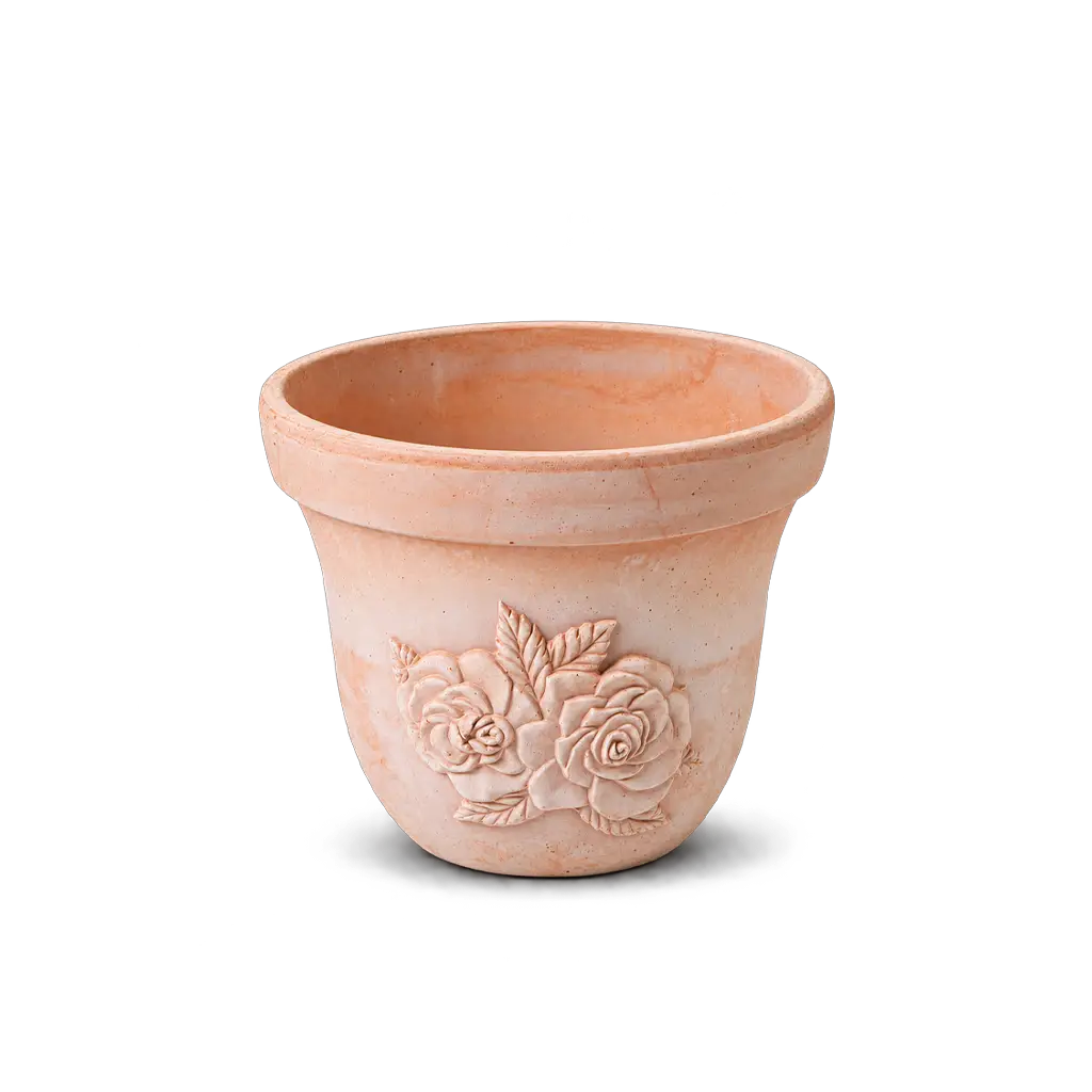Serie Rose