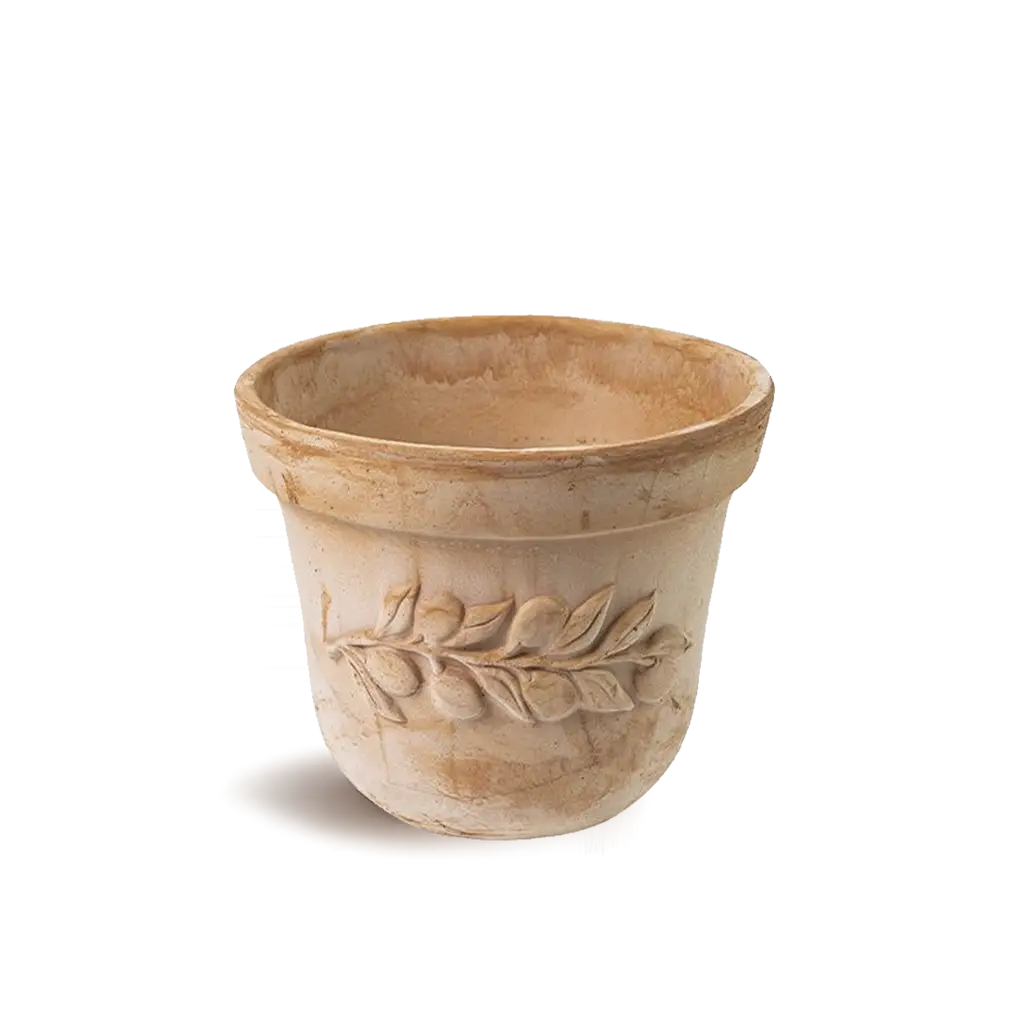 Serie Olive
